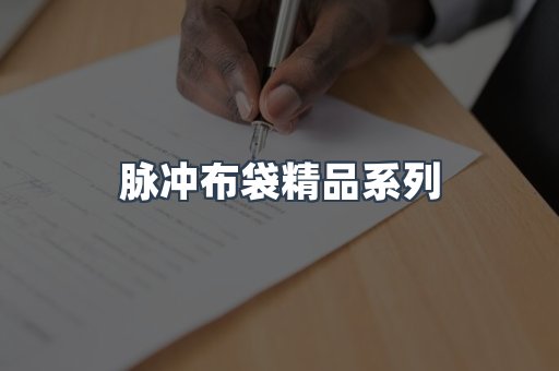 脉冲布袋精品系列